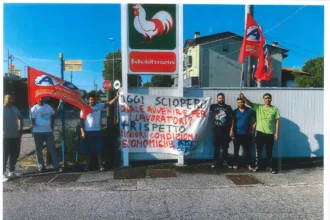 Sindacato di Base ADL Cobas - 29 luglio prima giornata di sciopero all'azienda "Pollo dell'avvenire"