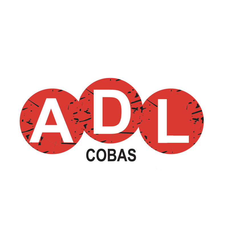ADL-Cobas Piemonte
